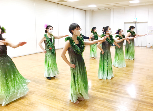 プルメリアクラスの写真1